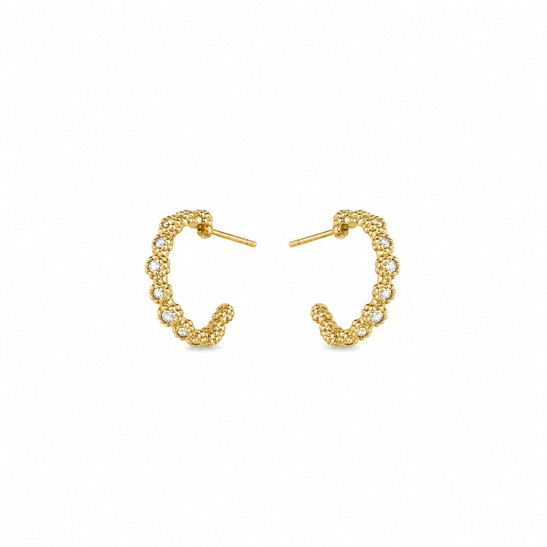 Brinco Bloom