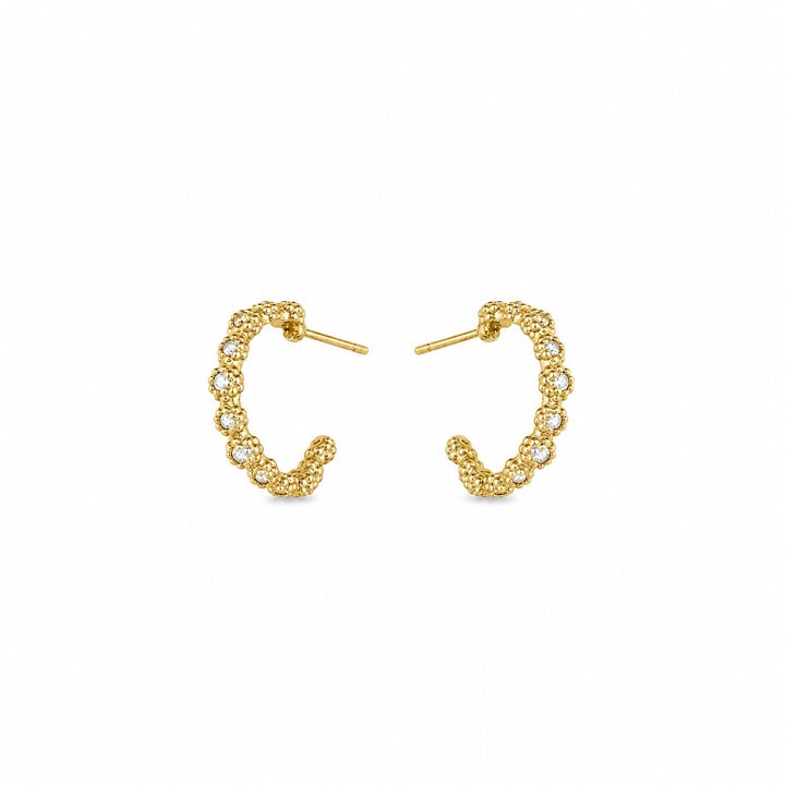 Brinco Bloom